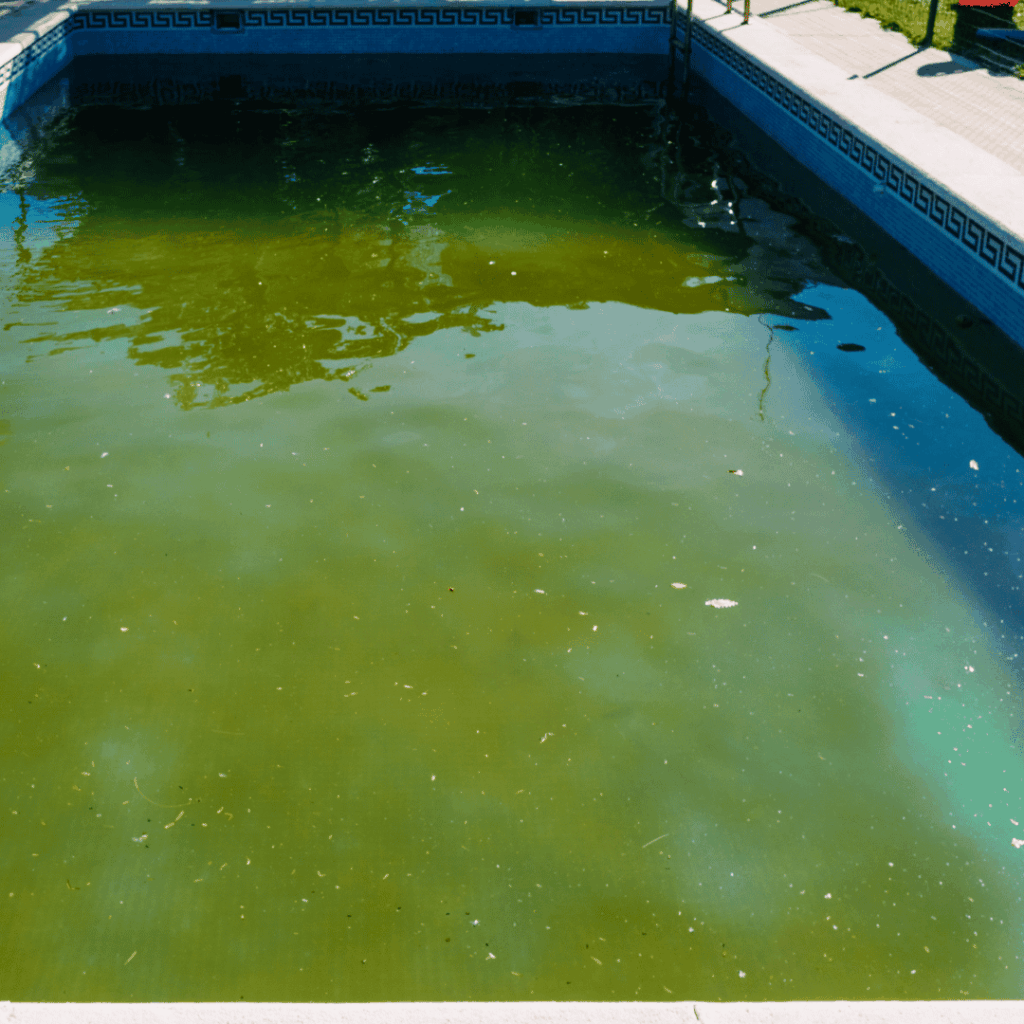 Mantenimiento de piscinas en Manresa